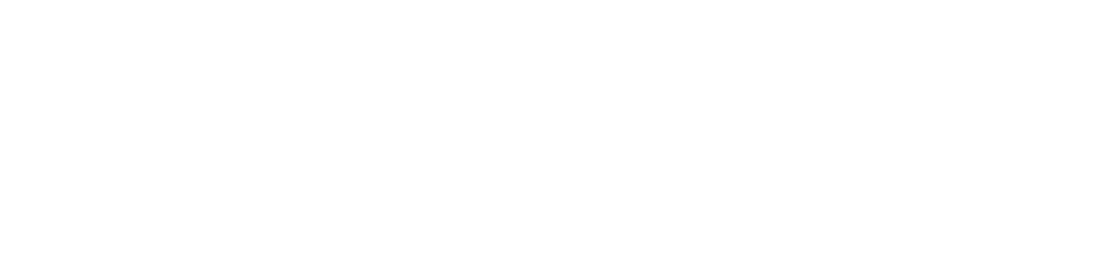 CENTRO DE MEDICINA_ENDOSSO 100 ANOS - BRANCO (1).png
